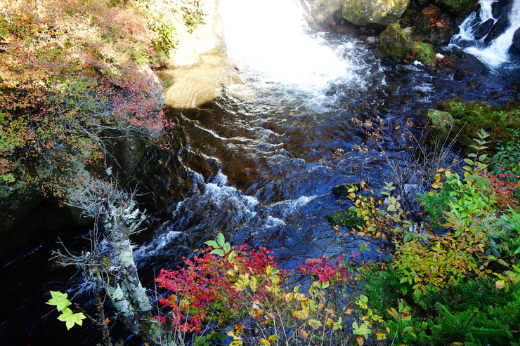 a0287336_20393053.jpg