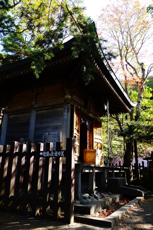 a0287336_20513191.jpg