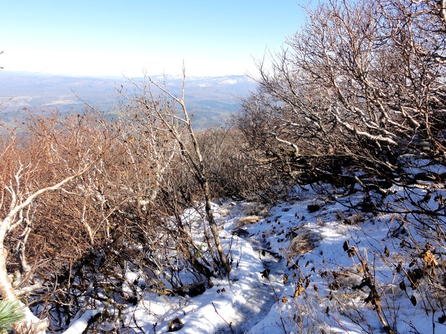 d0235336_17523254.jpg