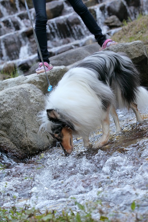 豆腐が食べたい！_d0313140_8243017.jpg