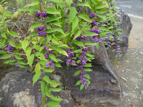 b0299042_2135939.jpg