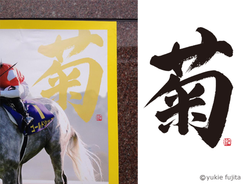 菊花賞  アルバム全タイトル ポスター文字「菊」 : JRA様 第74回菊花賞 : 筆文字制作 筆