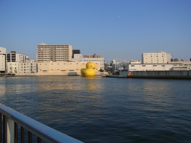 Rubber Duck and the Rivers in Osaka_e0046748_0505573.jpg