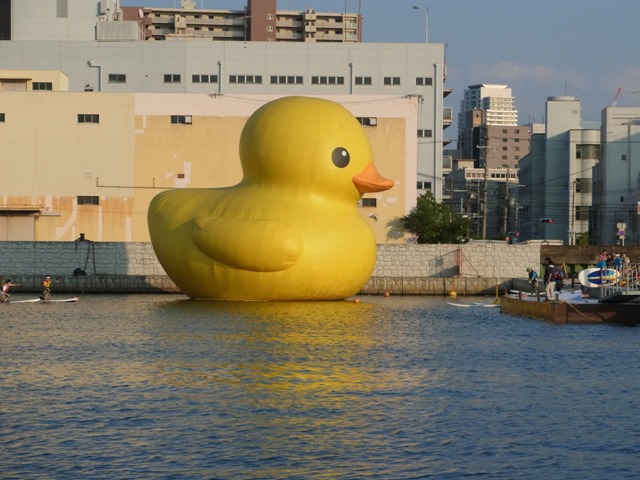 Rubber Duck and the Rivers in Osaka_e0046748_0511560.jpg