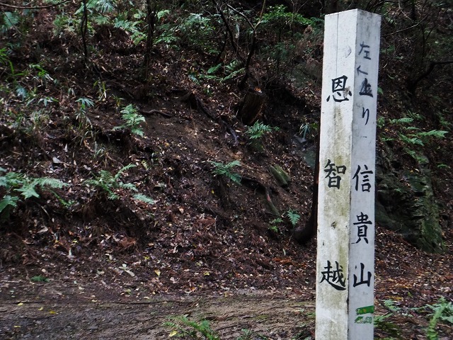 d0048350_20572857.jpg