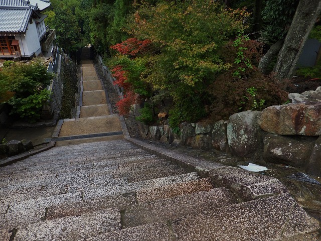 d0048350_2057647.jpg