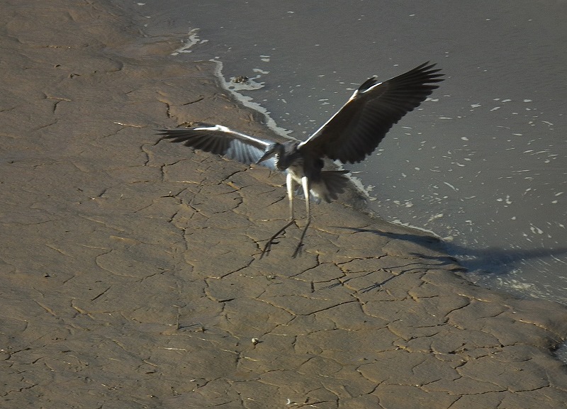 a0018655_207879.jpg