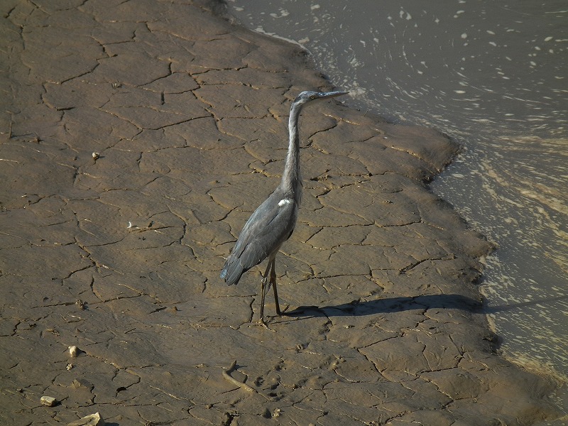 a0018655_2093498.jpg