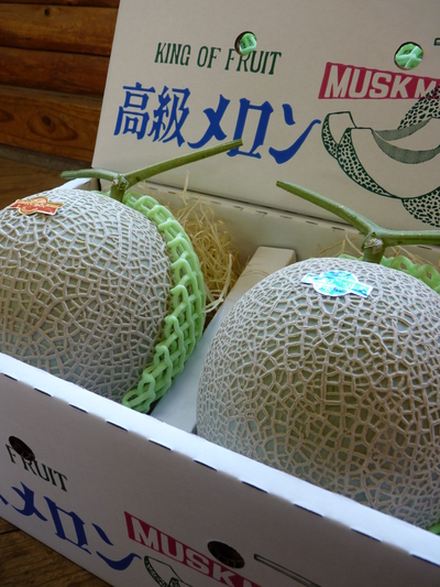 高級マスクメロン「アールスメロン」 12月上旬発送に向けて_a0254656_17185359.jpg