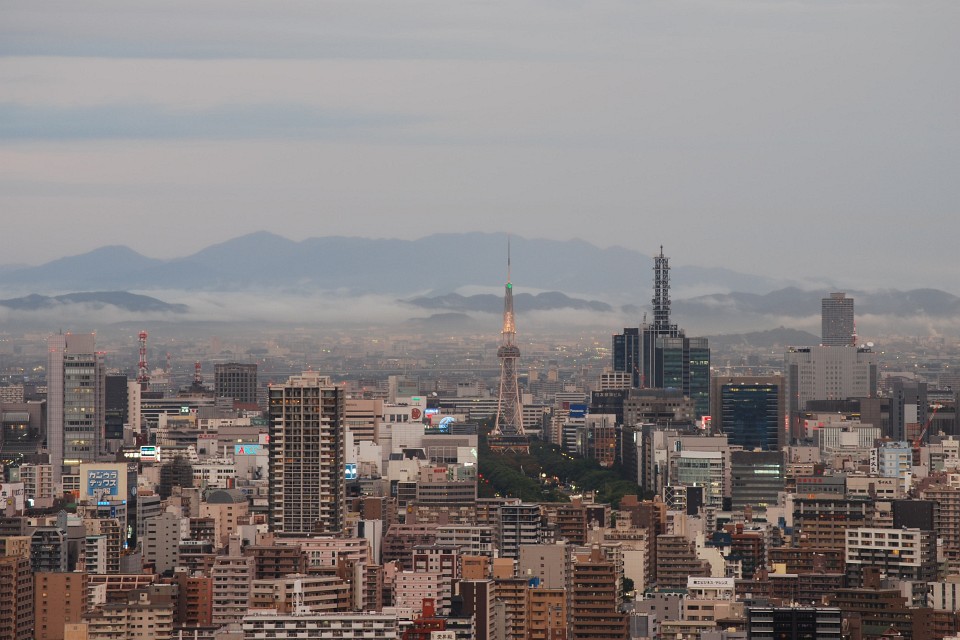 雨の日曜日_d0144259_205744.jpg