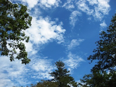 c0190960_9322367.jpg