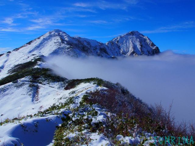 d0110562_8343680.jpg