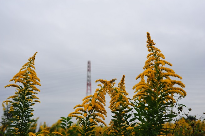 d0164962_21165412.jpg