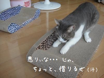 c0140863_16251123.jpg