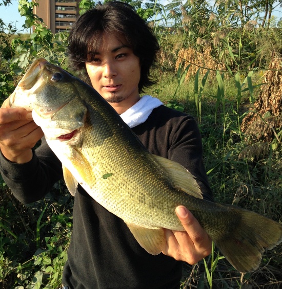 爆弾池 ブラックバス