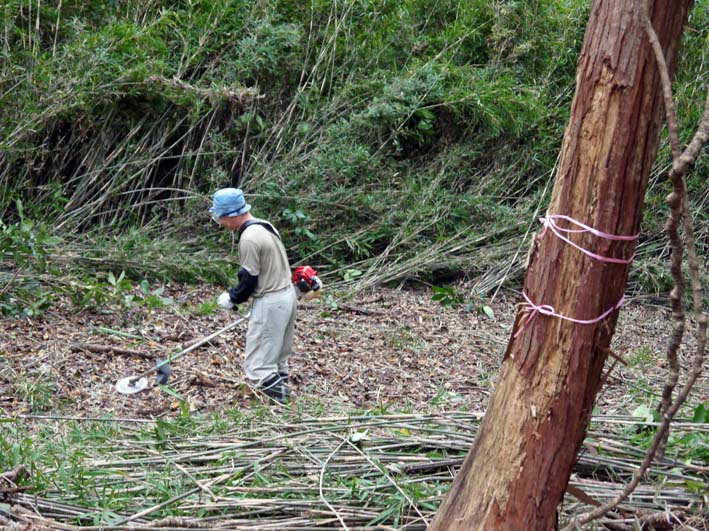 下草刈りの境界線に赤いテープ10・19六国見山定例手入れ_c0014967_1045865.jpg