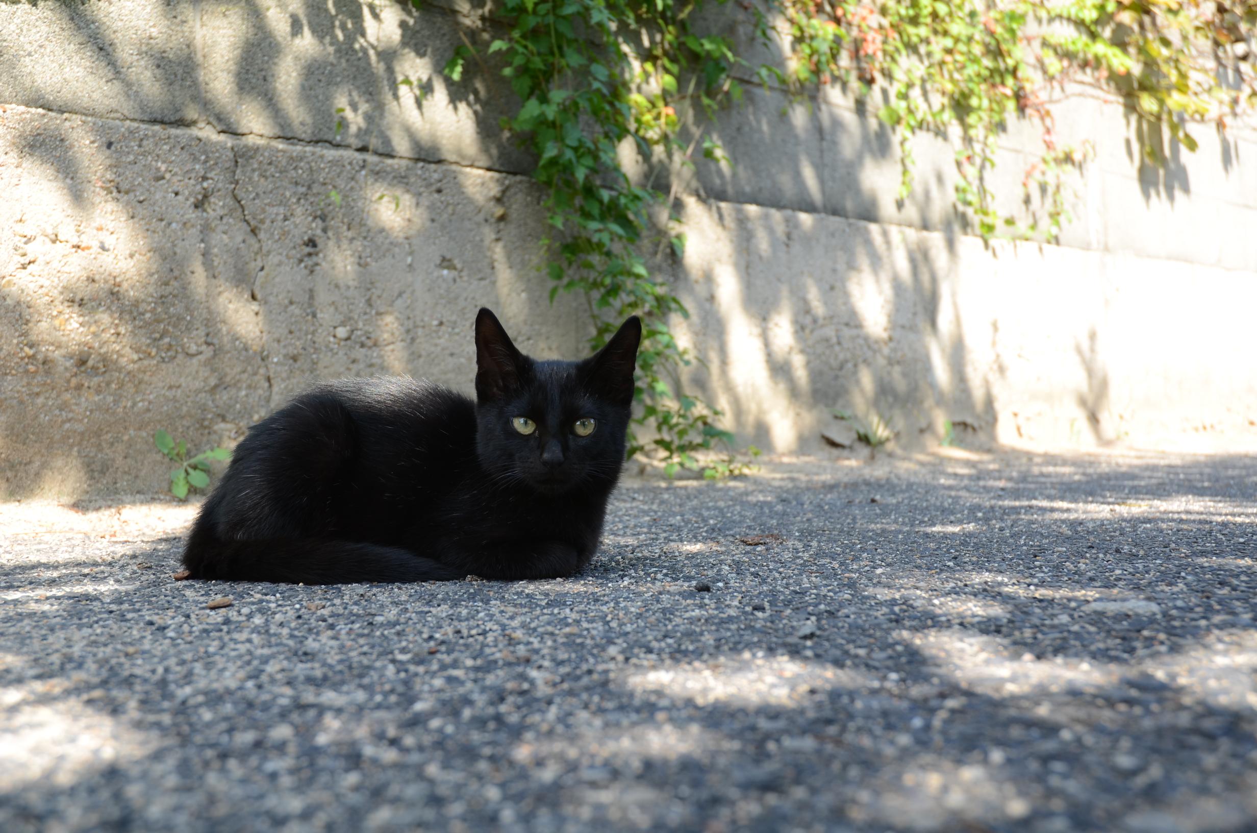 女木島・男木島_a0106968_22343983.jpg