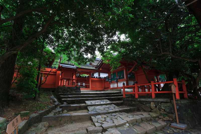 kasuga-taisha 4 _a0314571_8501926.jpg