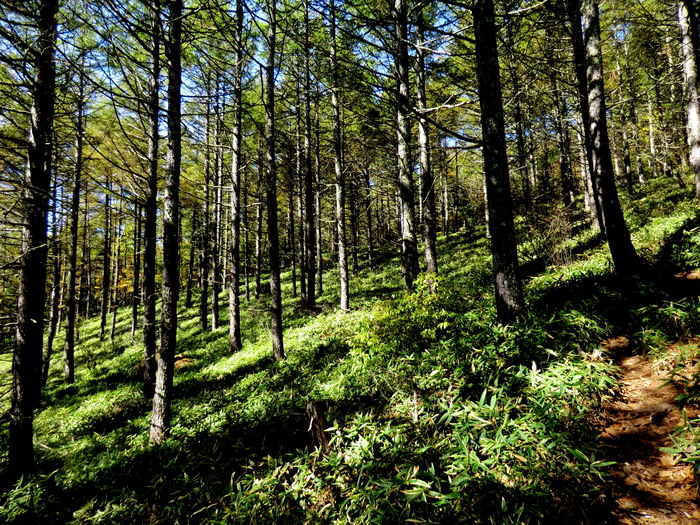 No315 　おまけに登る南八ケ岳・編笠山_b0185573_14241634.jpg