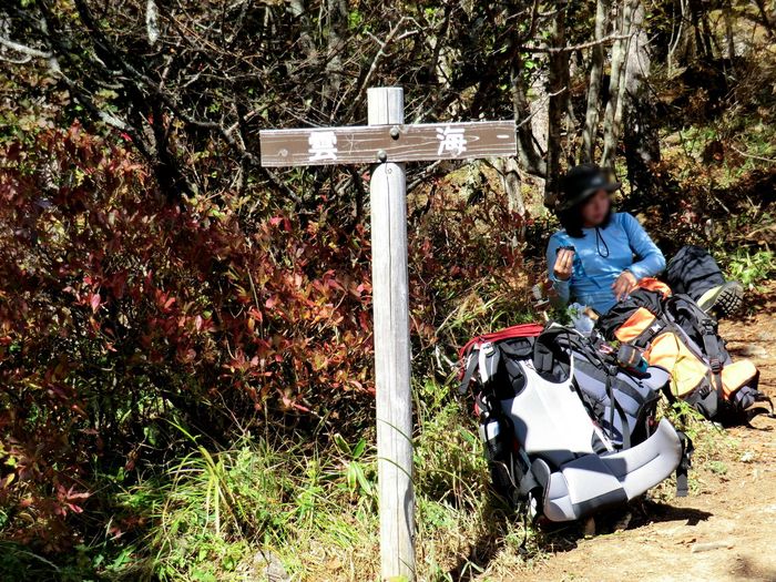 No315 　おまけに登る南八ケ岳・編笠山_b0185573_1439334.jpg