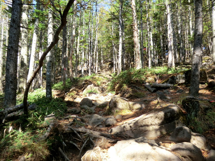 b0185573_14425572.jpg