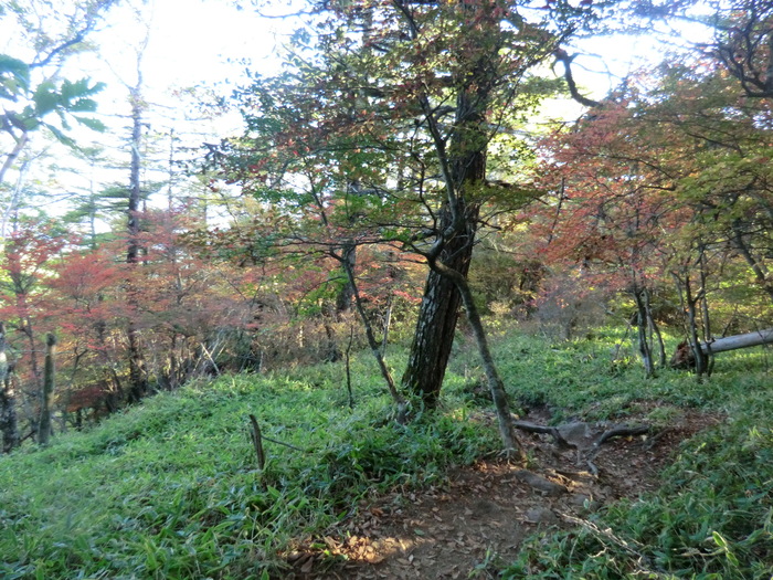 No315 　おまけに登る南八ケ岳・編笠山_b0185573_1831822.jpg