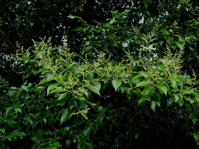 d0019074_9423524.jpg