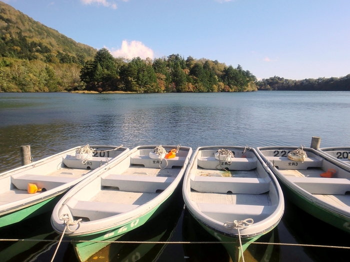20131012-14 奥日光湯元温泉 おおるり山荘　その7_b0075575_1332839.jpg