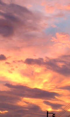 d0183577_18563815.jpg