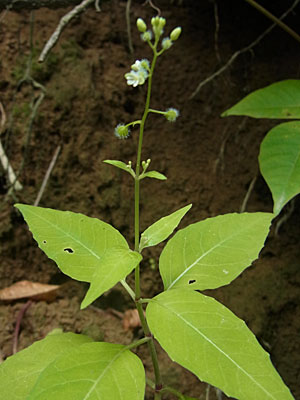 f0083977_21542647.jpg