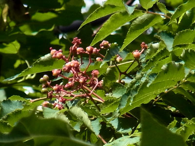 f0083977_21553333.jpg