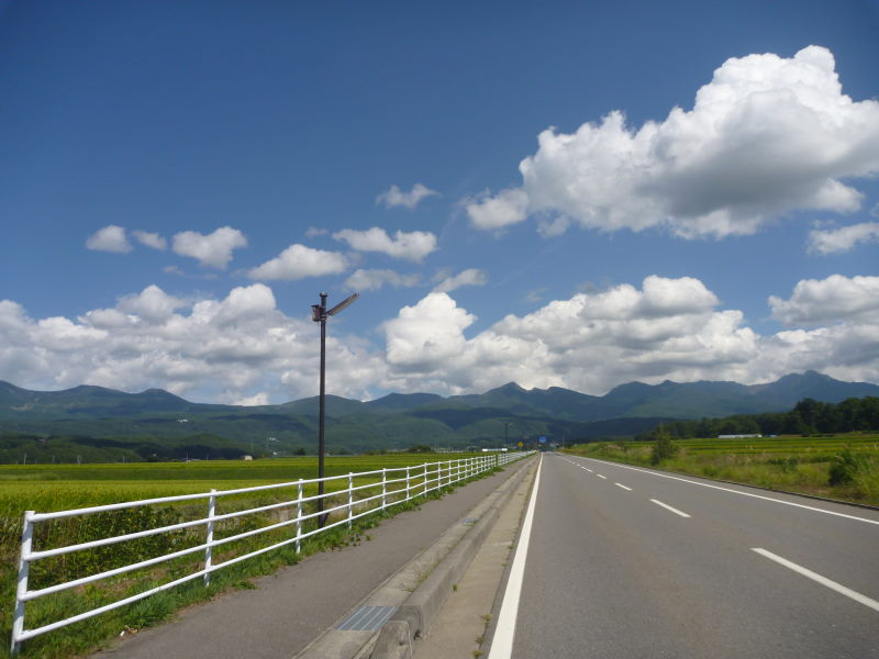 緑輝く霧ヶ峰、車山と雄大な八ヶ岳。復路はまた違った趣-信州高原サイクリング・美ヶ原ビーナスライン編⑲_e0138081_11103123.jpg