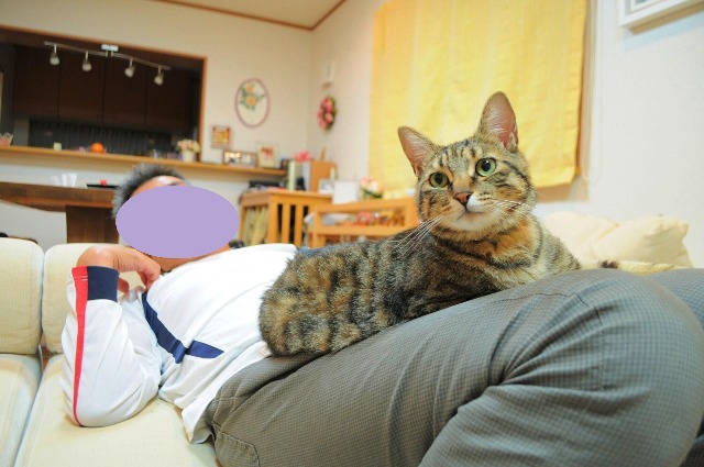 疲れたあなたを癒します_a0126590_105148.jpg