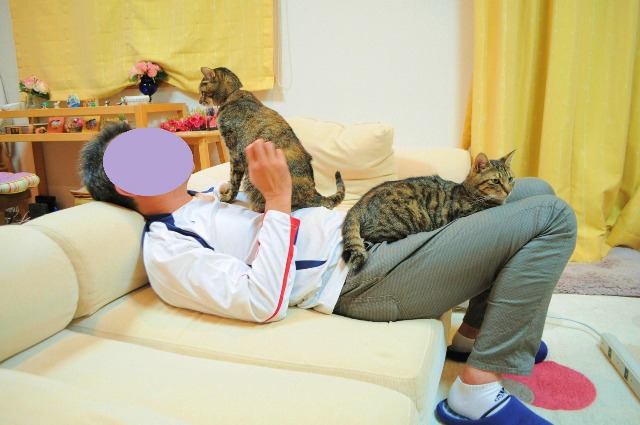 疲れたあなたを癒します_a0126590_152977.jpg