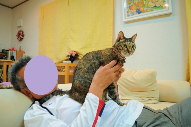 疲れたあなたを癒します_a0126590_195588.jpg