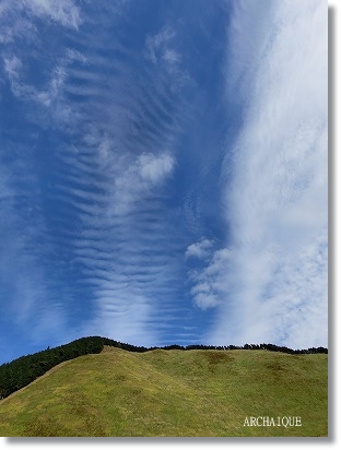 **秋の景色**_c0207890_16311728.jpg
