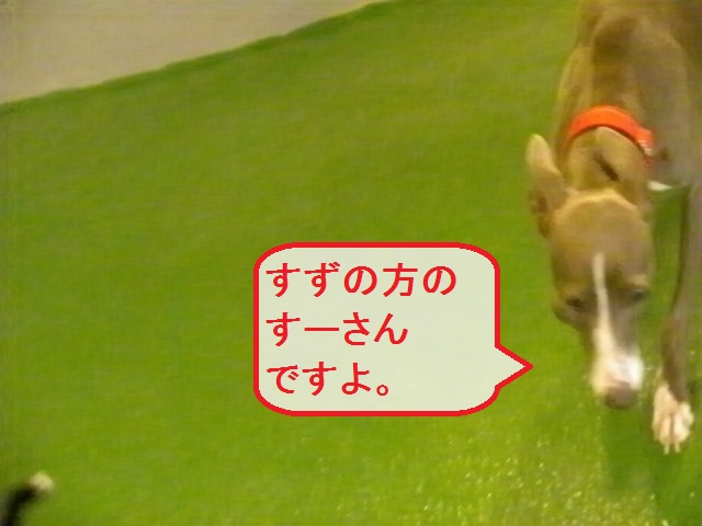 a0284997_23243577.jpg