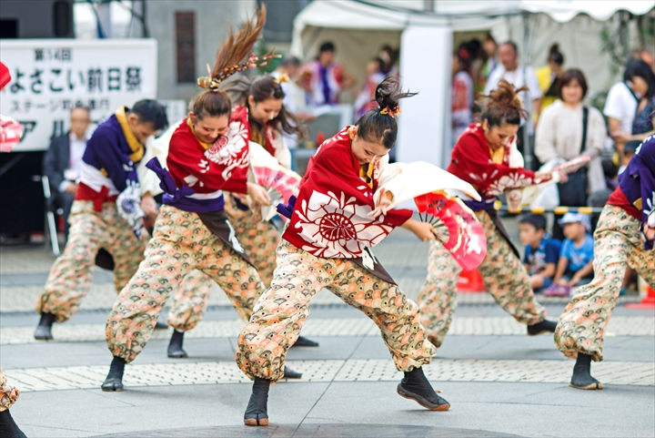 東京よさこい 猿霞_a0296897_21372211.jpg