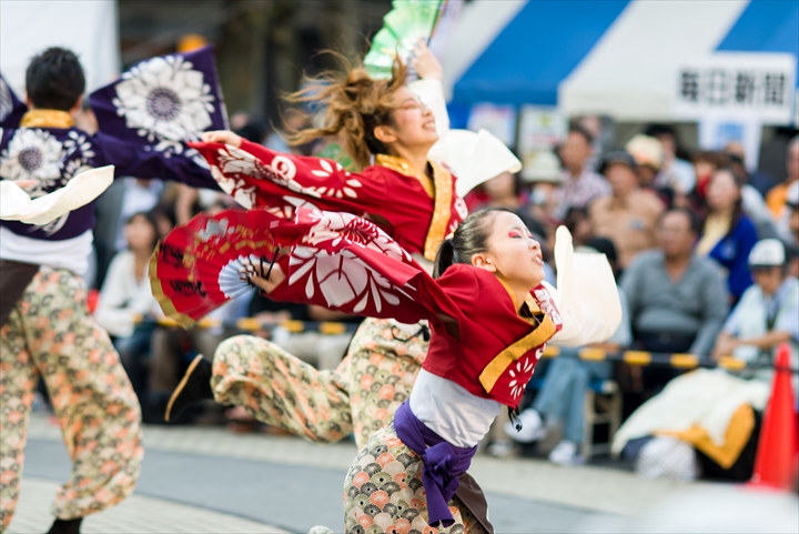 東京よさこい 猿霞_a0296897_21373787.jpg