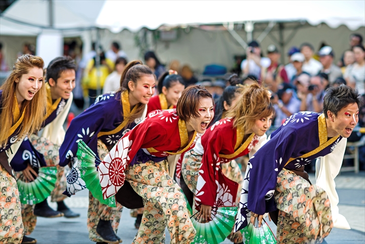 東京よさこい 猿霞_a0296897_21374479.jpg