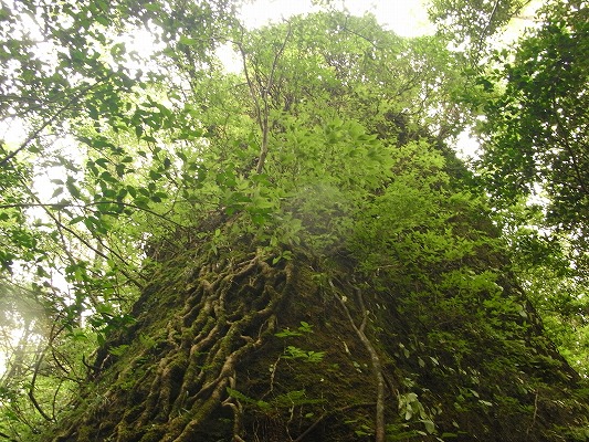 f0187402_2115383.jpg