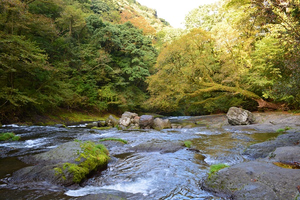 久しぶりの菊池渓谷_b0277008_9152476.jpg