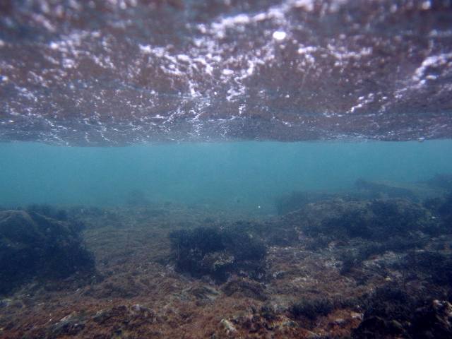 d0175710_015565.jpg