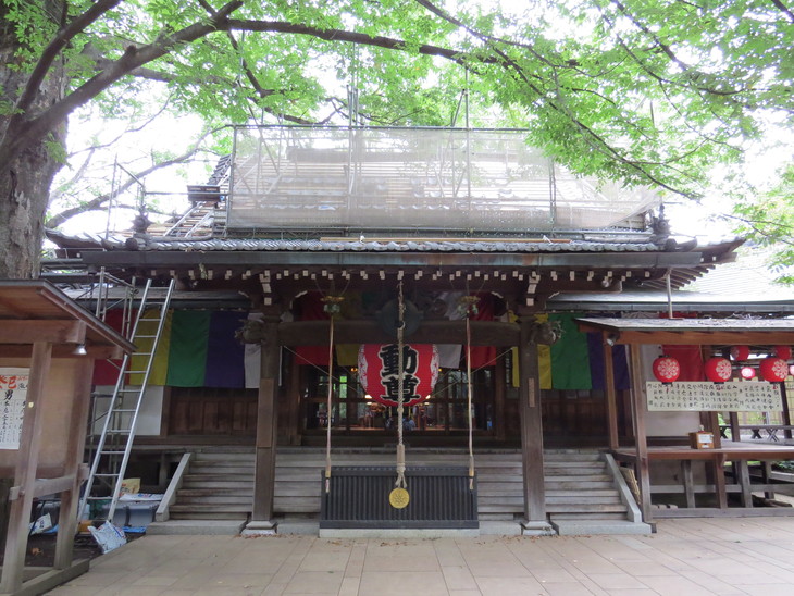 b0087914_10145432.jpg