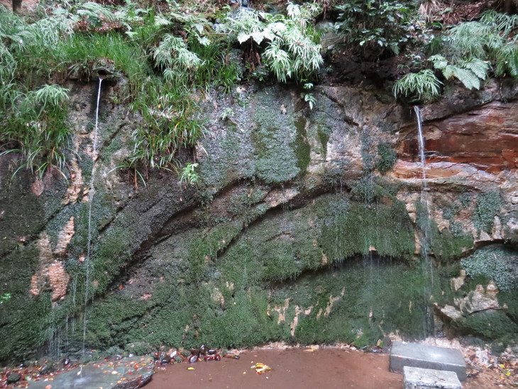 b0087914_10215144.jpg