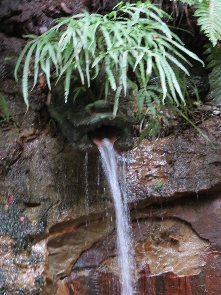 b0087914_10225635.jpg