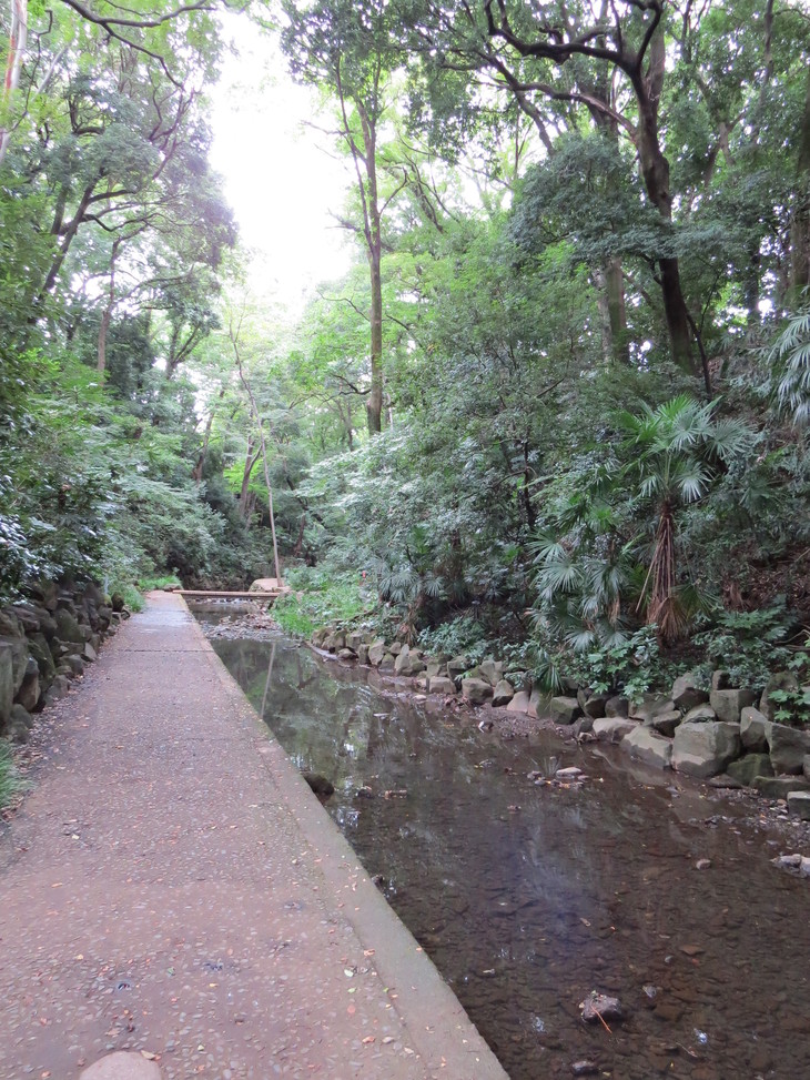 b0087914_10252762.jpg