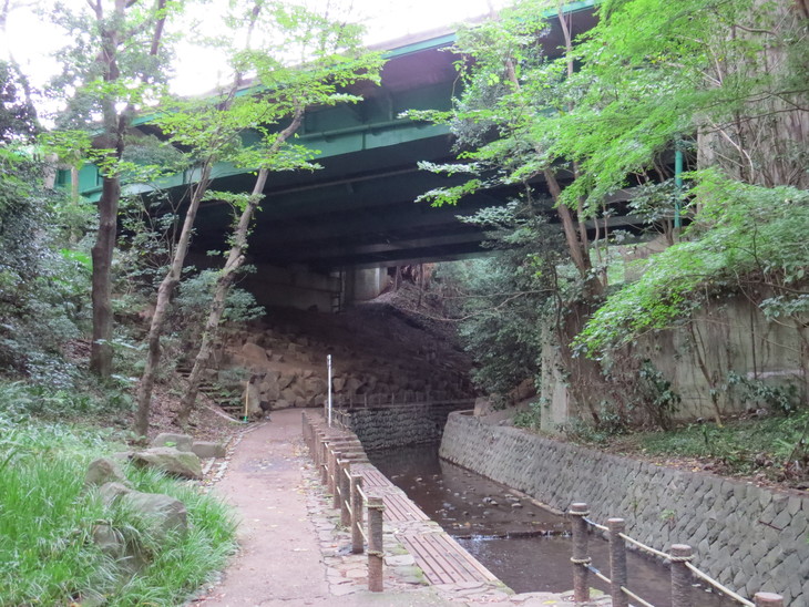 b0087914_1025358.jpg