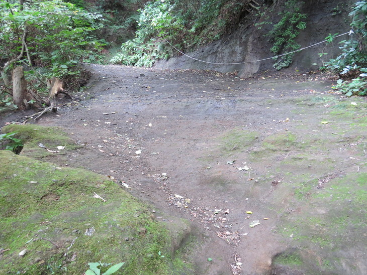 b0087914_948203.jpg