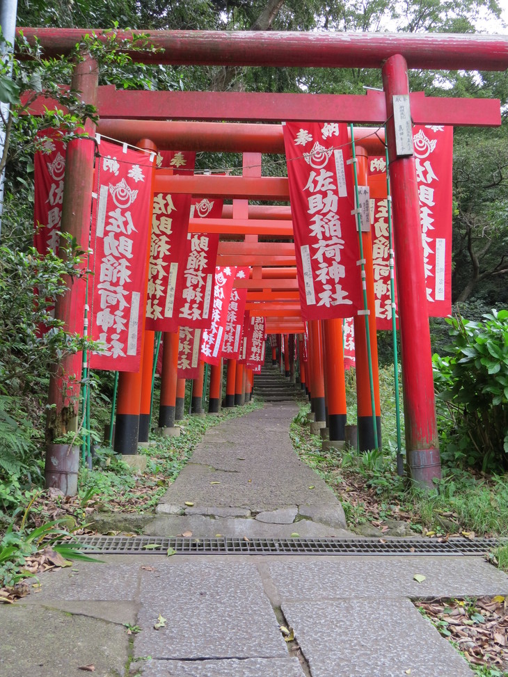 b0087914_9501213.jpg